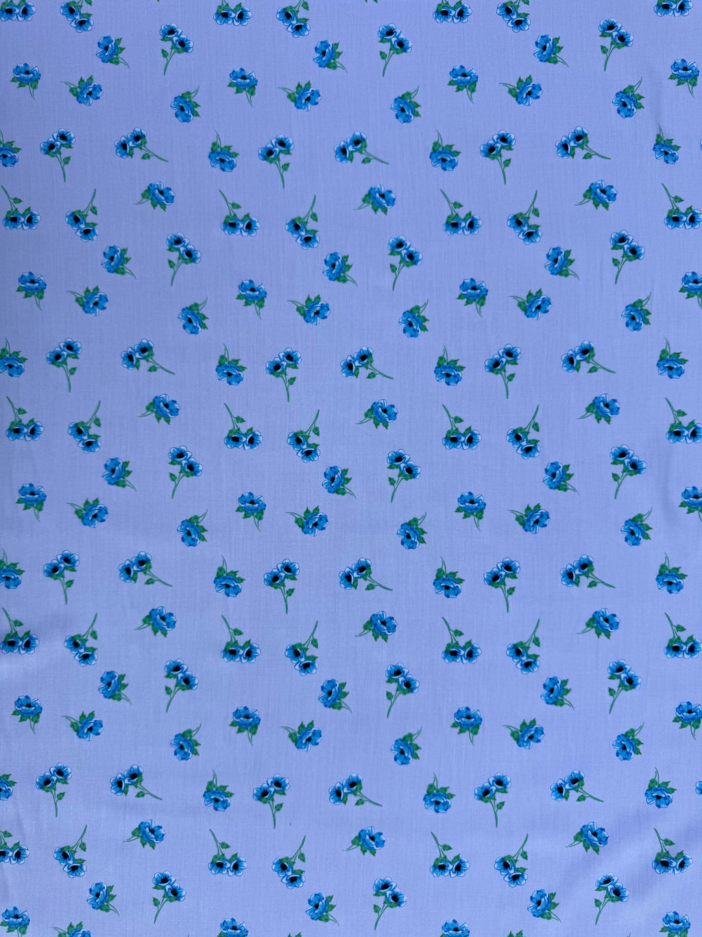 D40